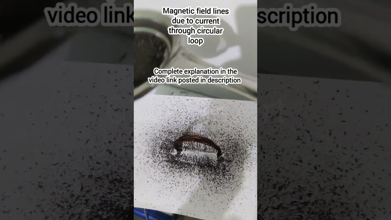 Magnetic field due to current through circular loop
