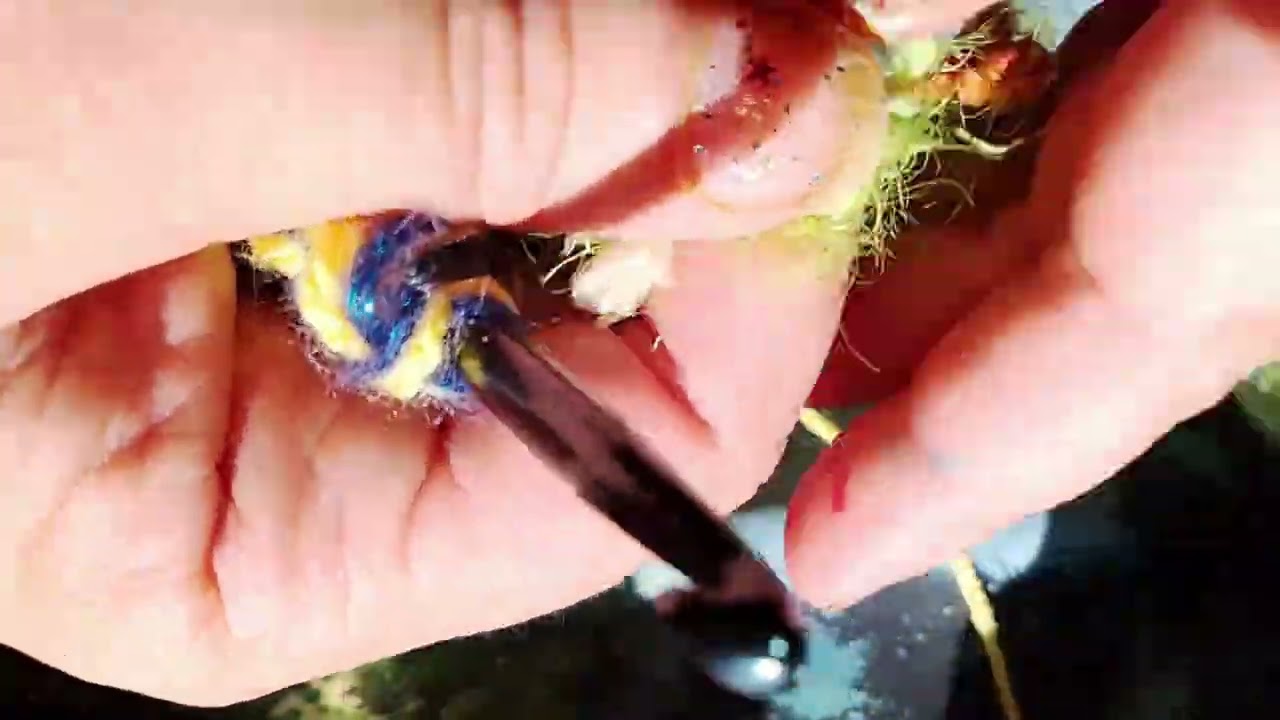 Freeform Crochet Tutorial #freeformcrochet #crochettutorial