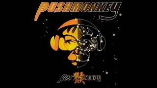 Pushmonkey - Sorry