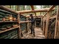 Alone I Built A Hidden Underground Survival Shelter With Full Amenities Bushcraft Survival