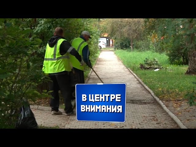 В центре внимания №15