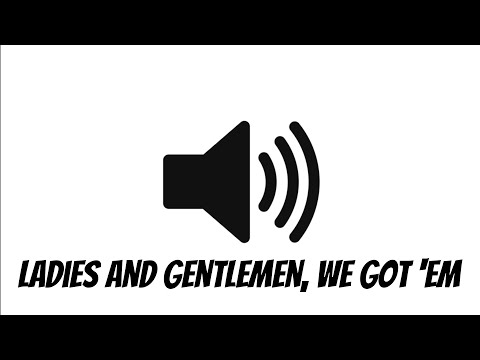 "Ladies And Gentlemen, We Got 'Em" Earrape Sound Effect