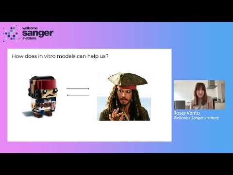 Sanger Institute Seminar - Dr Roser Vento-Tormo - 16 June