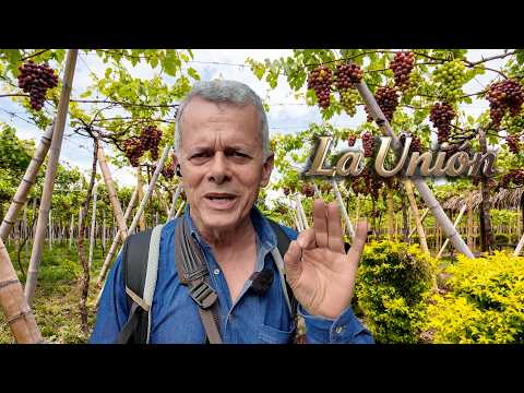 ¡La CAPITAL del VINO en Colombia! 🍷 Descubre LA UNION, Valle del Cauca