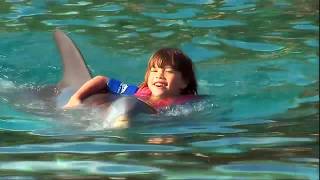 This Is Emily Yeung Swimming With Dolphins