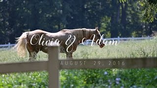 Olivia & Adam | Classic Wedding at Adaumant Farm