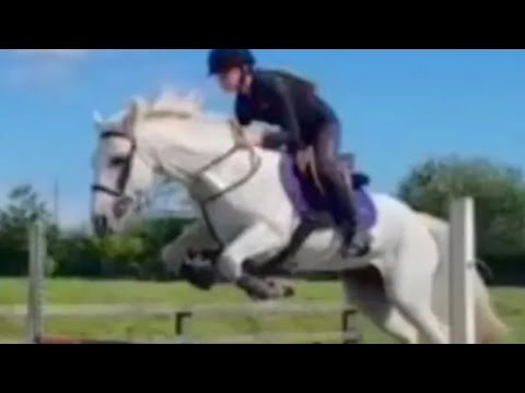Top schoolmaster - Image 2