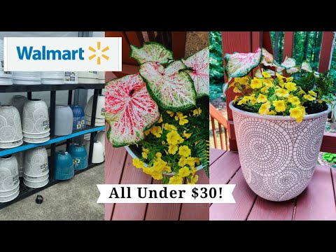 Entire Walmart Container with plants under $30! Garden Center finds for container gardening!