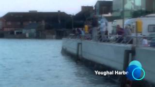 preview picture of video 'Mackerel Breaking at Youghal Harbour 2014'
