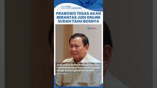 Presiden Prabowo Tegas Berantas Judi Online yang Marak di Era Jokowi, Bosnya Ber