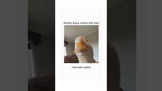 Download lagu bebek #bebek #memes #meme mp3 Download lagu bebek #bebek #memes #meme mp3