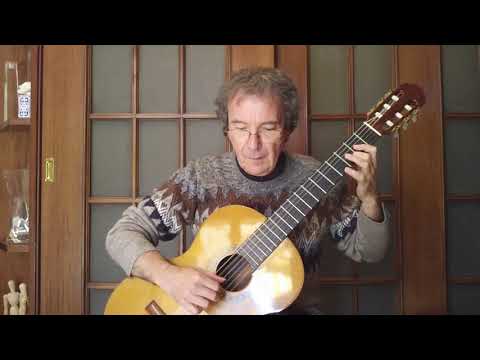 She Loves You - The Beatles (Classical Guitar Arrangement by Giuseppe Torrisi)