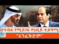 በግብጽ የሚደገፉ የዐቢይ ተቃዋሚዎች አንፈቅድም ETHIO FORUM