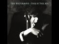 The Waterboys – Towers Open Fire - 2004 Remaster