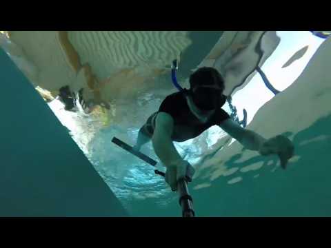 Test monocaro à la fosse de la Teste de Buch