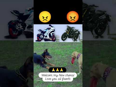 MT15#shortvideo #automobile #trendingshorts #viralvideo