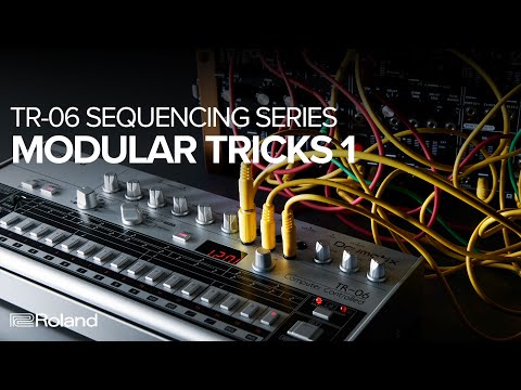 Roland Boutique TR-06 Drumatix Sequencing Series - Modular Tricks 1