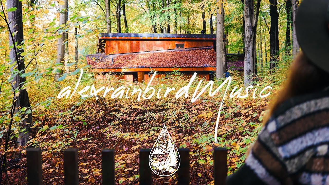 Peter Katz - I Am Home