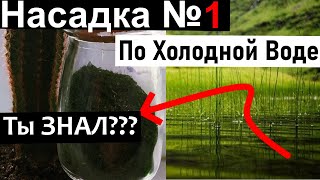 Белковая рыболовная насадка икра