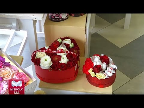 Videó előnézet