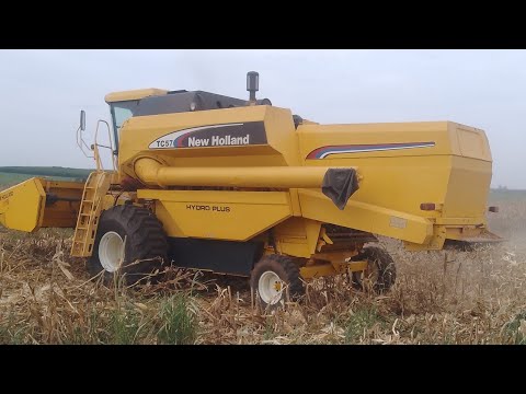 Colheita De Milho safrinha 2025 no Sitio Santa Maria Brejo Alegre-SP 🙏🏻💥🇧🇷🌽