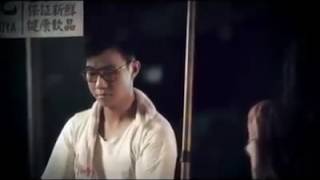 一剪梅 (Yi Jian Mei) Setangkai Bunga Persik -  A Spray of Plum Blossoms.