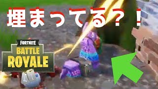 【Fortnite】ラマが！埋まってる！？バグ？？