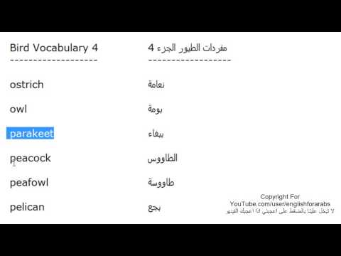 اسماء الطيور بالانجليزي مع الصور