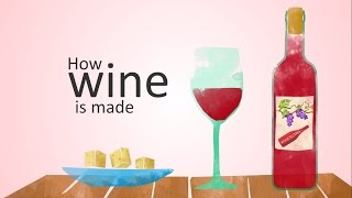 how wine is made (animation)