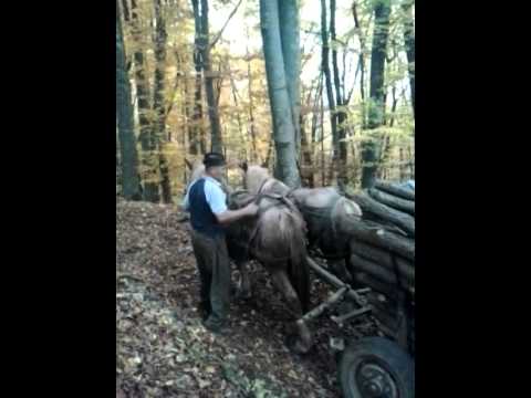 video 2014 11 07 16 03 40