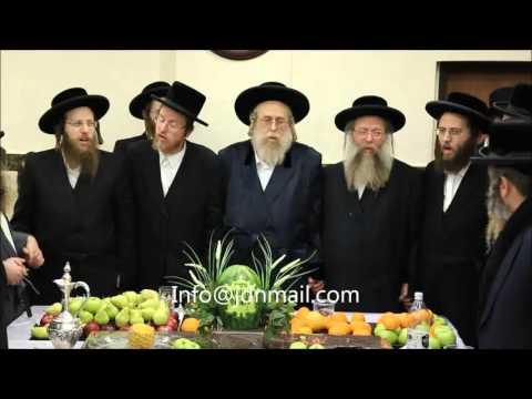 Tu Bishvat 5776 With Komarna Rebbe