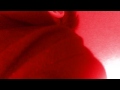 Busca Los Cascarones Fan Video