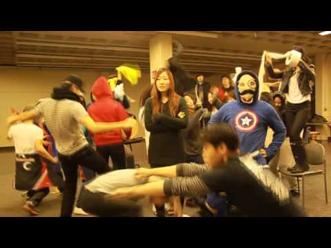 DDKY (덩덕궁이) Harlem Shake - 덩쿵 할렘쉨