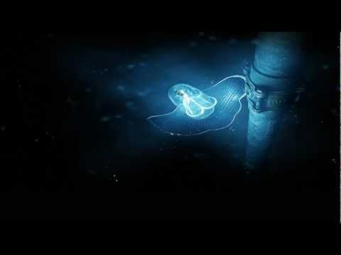 Martin Dawson - Submerge