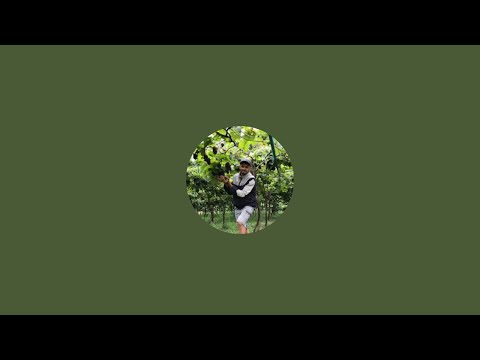 AO VIVO NA FEIRA LIVRE EM PUXINANÃ-PB 06/10/2025