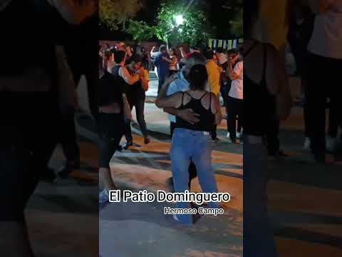 Los Ositos de Peluche, El Patio Dominguero Hermoso Campo