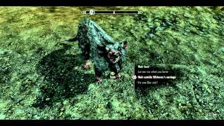 Skyrim Mini Mod Review: Sam the Talking Skeever