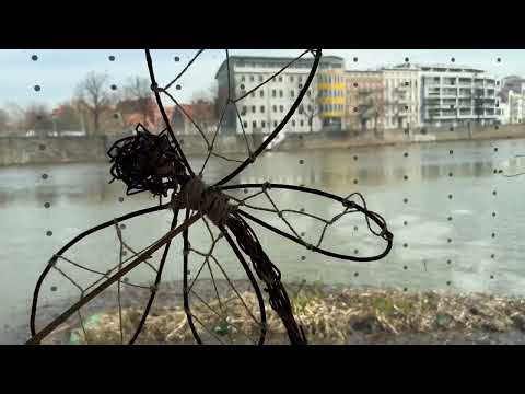 Wyplatanie Wikliny - warsztaty edukacyjne w Odra Centrum