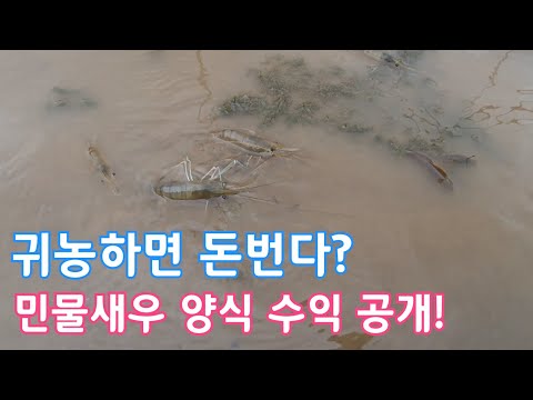 , title : '귀농 민물새우양식 400평 수익공개'