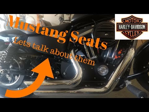 Mustang Seat Review on a Harley Iron 833 Sportster