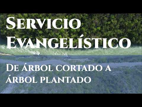 De árbol cortado a árbol plantado | Lucas 3:7-9 | 15-02-2026