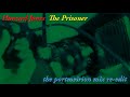 Howard Jones - The Prisoner (the portmeirion mix re-edit)
