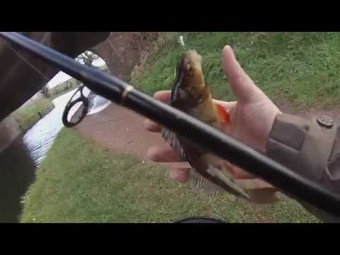 Ultralight fishing on the Grand Western Canal