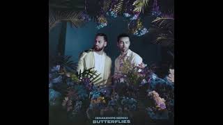 Butterflies (Snakehips Remix) song artwork