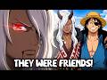 Imu Didn T Betray Joy Boy The REAL Reason He Killed Him