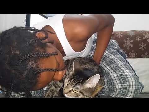 Barmeal - Hey Mama Dance