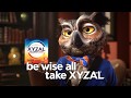 Word To The Wise XYZAL Allergy 24HR