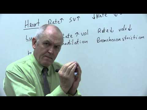 Sympathetic and parasympathetic nervous system