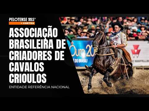 PELOTAS MERECE | ASSOCIAÇÃO BRASILEIRA DE CRIADORES DE CAVALOS CRIOULOS