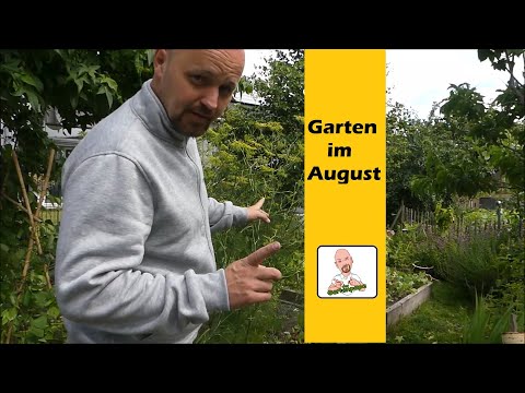 Garten im August / Hühner, Wachteln, Gemüsegarten und viel mehr.